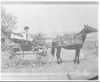 Wagons 1800S